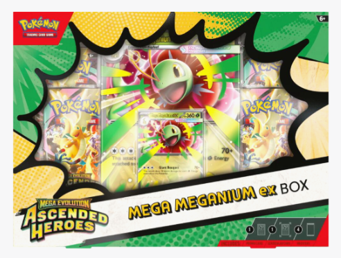 Ascended Heroes Mega Meganium ex Box