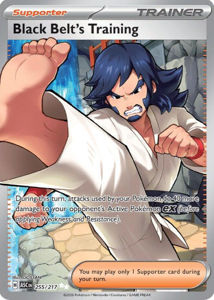 Black Belt's Training Full Art - 255/217 - Ascended Heroes