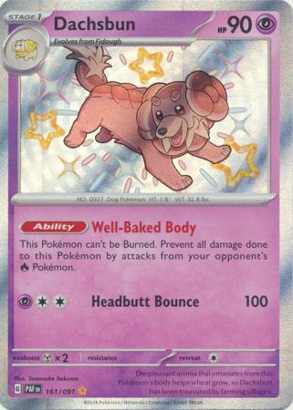 Dachsbun Baby Shiny - 161/091 - Paldean Fates