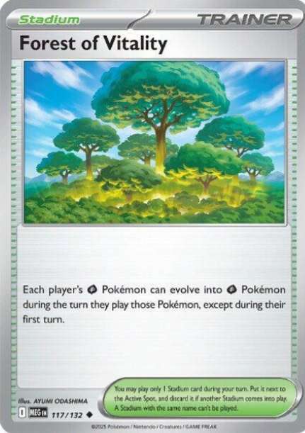 Forest of Vitality - 117/132 - Mega Evolution