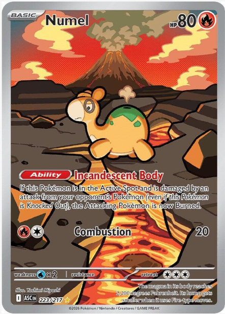 Numel Illustration Rare - 223/217 - Ascended Heroes