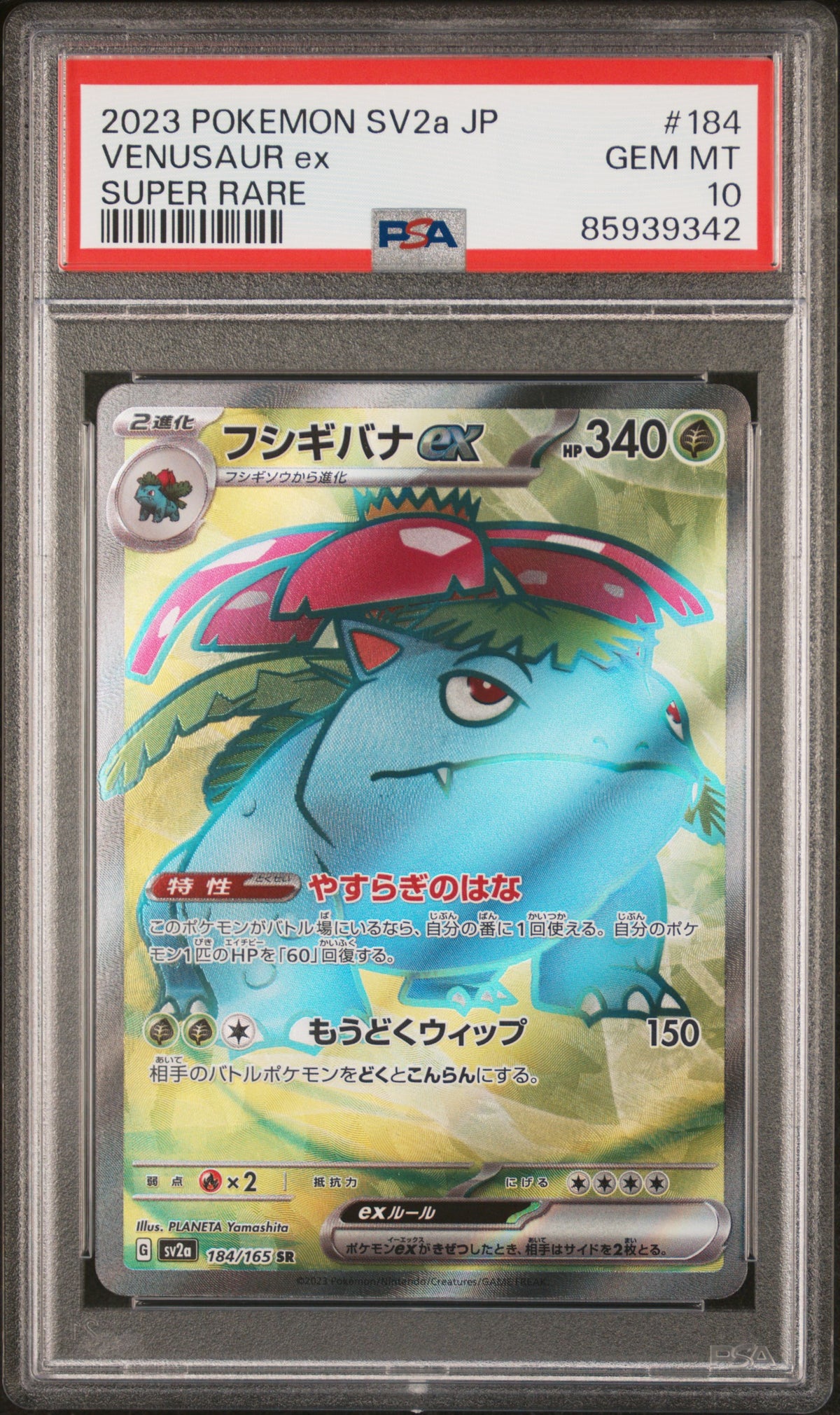 Venusaur ex Full Art - PSA 10 - Pokemon 151