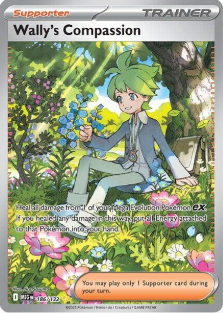 Wally's Compassion Special Illustration Rare - 186/132 - Mega Evolution